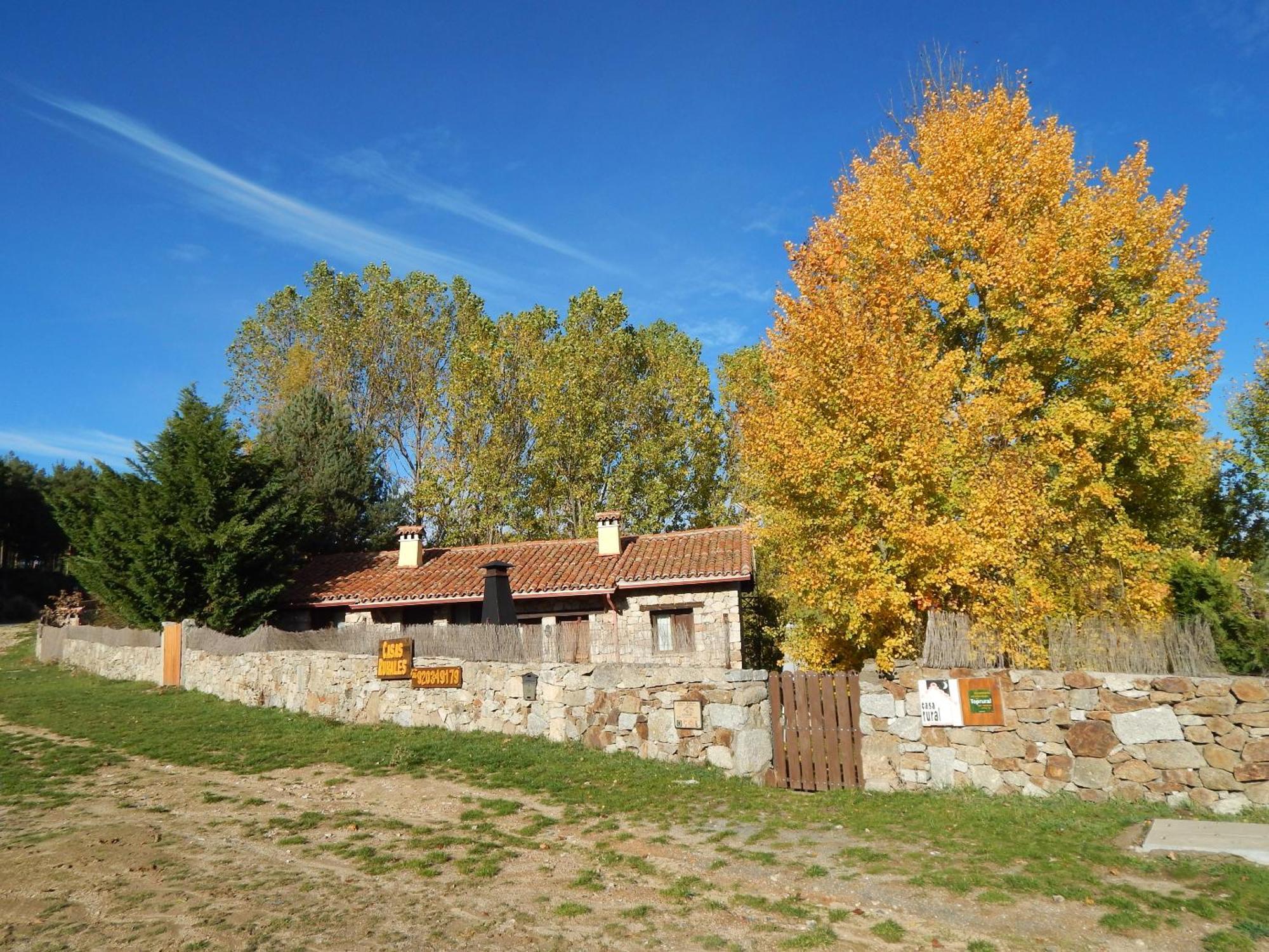 Casas Rurales Cimera Ybrincalobitos Hoyos del Espino Exteriör bild