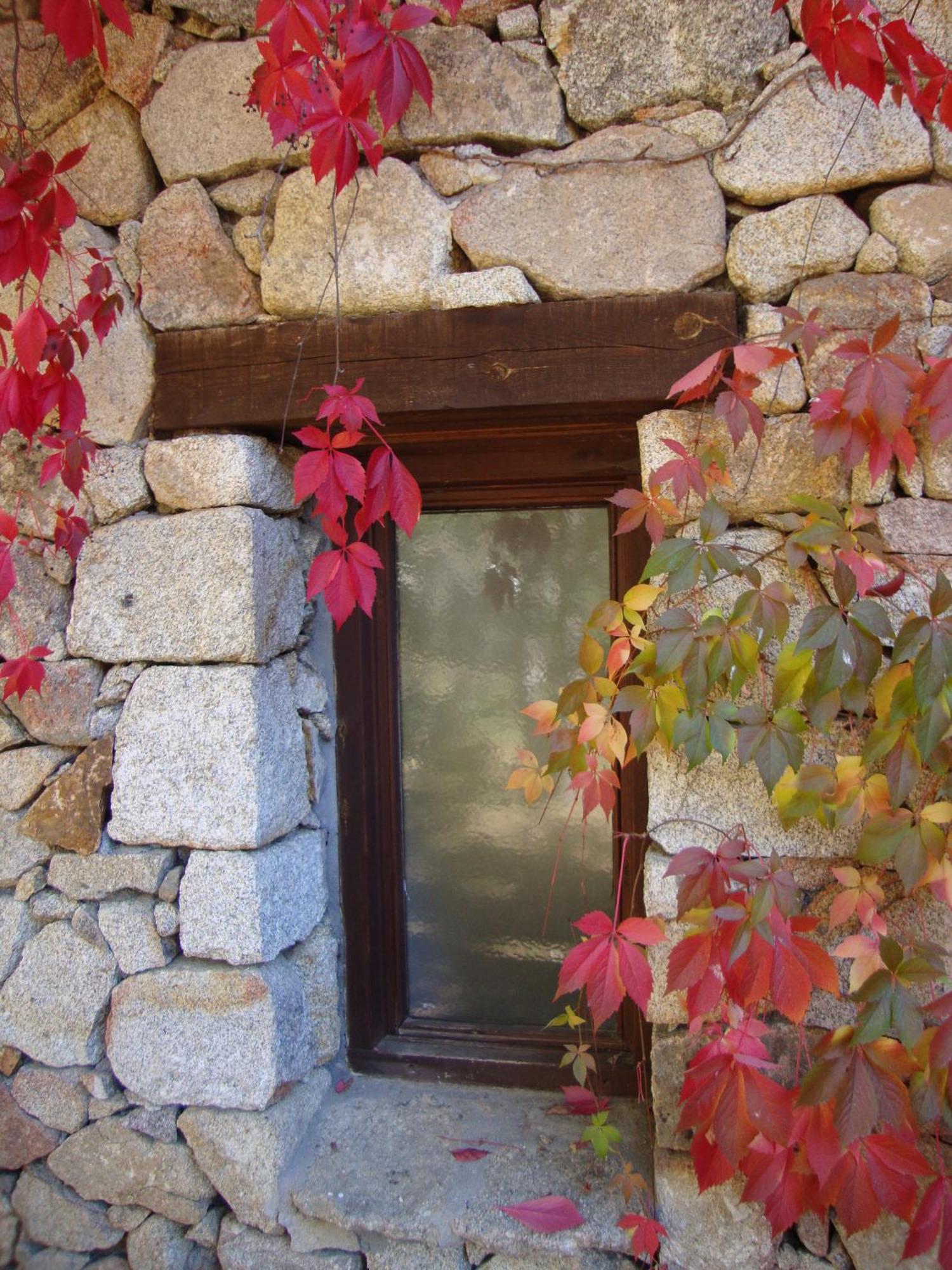 Casas Rurales Cimera Ybrincalobitos Hoyos del Espino Exteriör bild