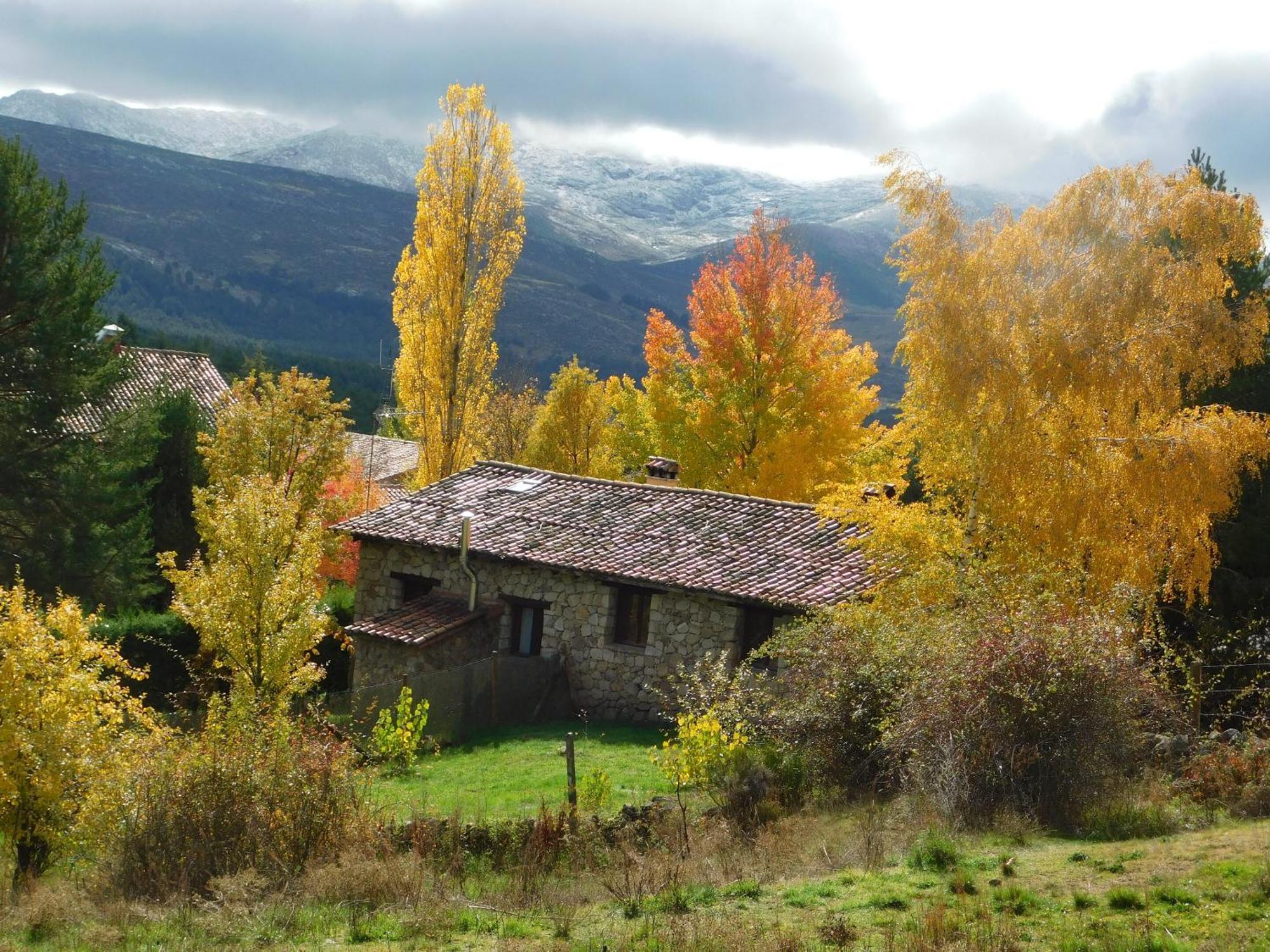 Casas Rurales Cimera Ybrincalobitos Hoyos del Espino Exteriör bild