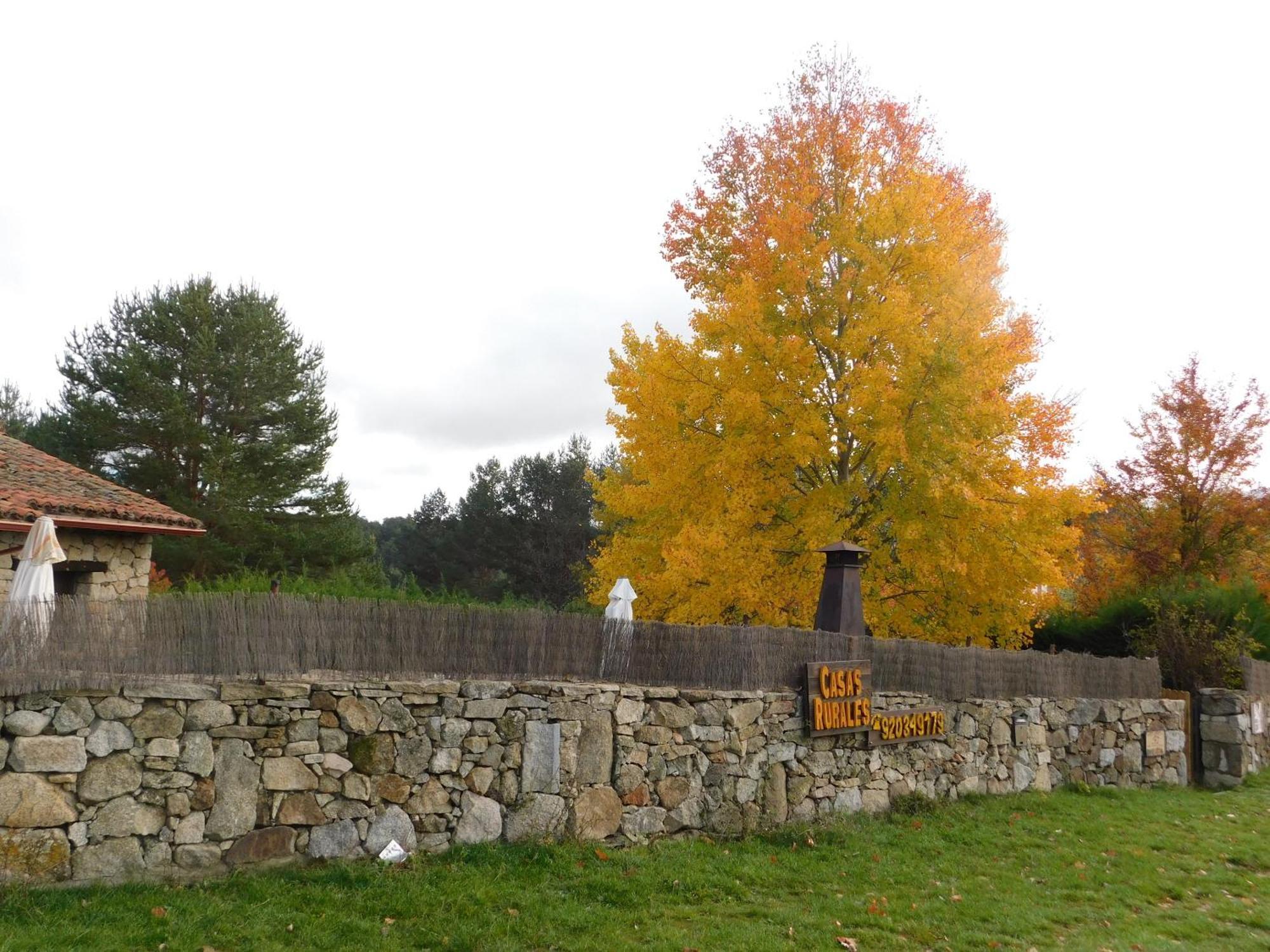 Casas Rurales Cimera Ybrincalobitos Hoyos del Espino Exteriör bild